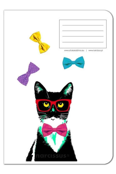 Narcissus Zeszyt A4 PP Fun Cat kratka 60 kartek 4 szt.