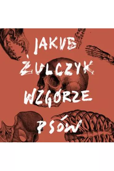 Audiobook Wzg�rze ps�w mp3 - Jakub �ulczyk