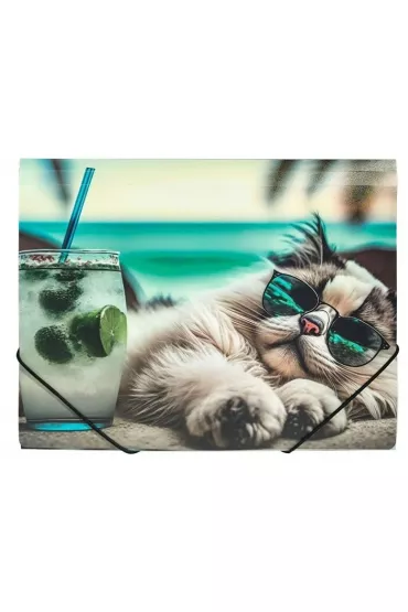 Panta Plast Teczka A4 PP na gumk� z nadrukiem Chillout Cat