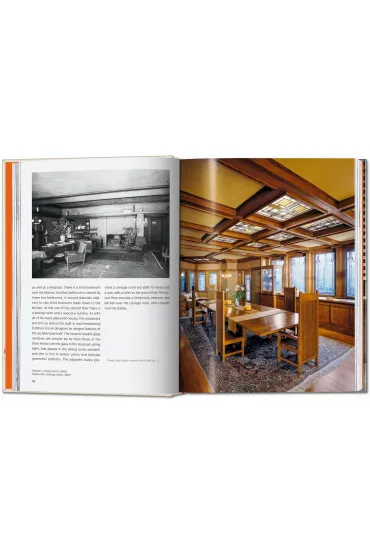 Frank Lloyd Wright wer. angielska - Bruce Brooks Pfeiffer