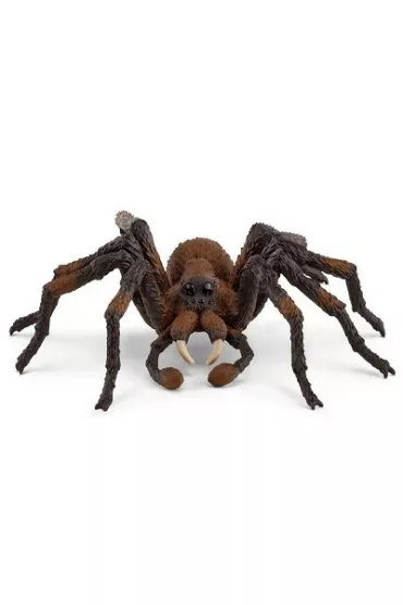Aragog Wizarding World