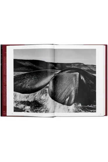 Sebastiao Salgado. Genesis wer. angielska - Sebastiao Salgado, Lelia Wanick Salgado