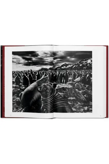 Sebastiao Salgado. Genesis wer. angielska - Sebastiao Salgado, Lelia Wanick Salgado