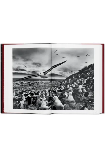 Sebastiao Salgado. Genesis wer. angielska - Sebastiao Salgado, Lelia Wanick Salgado