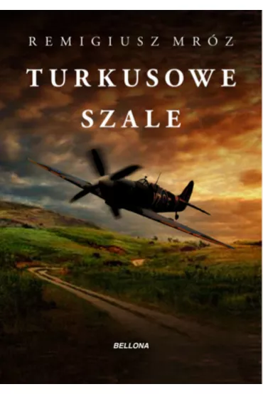 Turkusowe szale - Remigiusz Mr�z