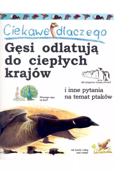 Ciekawe dlaczego g�si odlatuj� - Amanda O`Neill