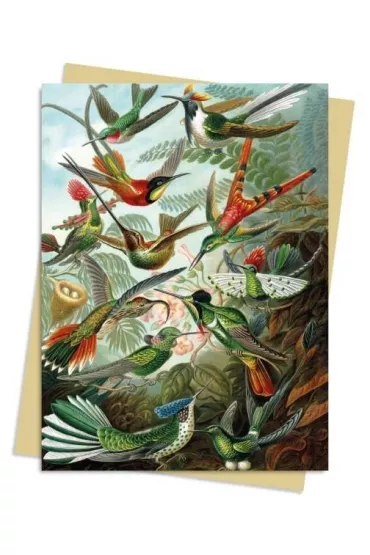 Flame Tree Karnet B6 Kolibry Ernst Haeckel
