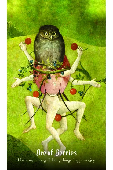 Hieronymus Bosch Tarot - Travis  McHenry