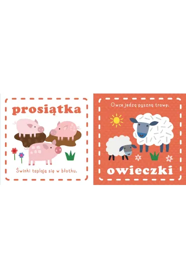 KSIAZECZKA EDUK 150X150 PRZYTULANKA WIES AWM