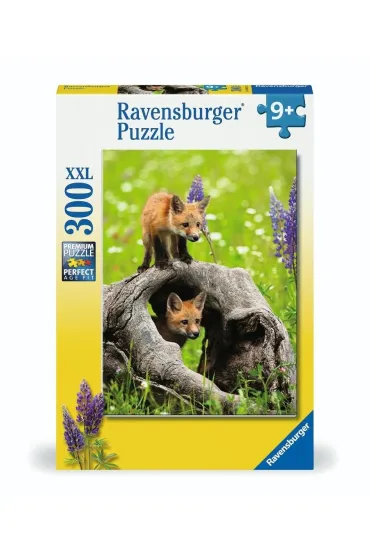 Puzzle 300 Curious Foxes Ravensburger