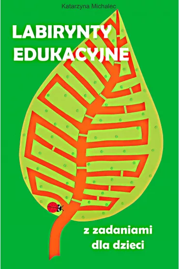 eBook Labirynty edukacyjne z zadaniami dla dzieci pdf - Katarzyna Michalec