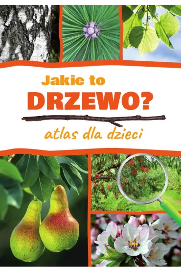 Jakie to drzewo? Atlas dla dzieci - Aleksandra Halarewicz