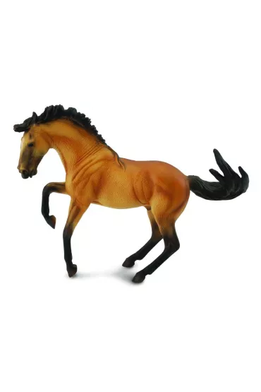 Ogier Lusitano Buckskin