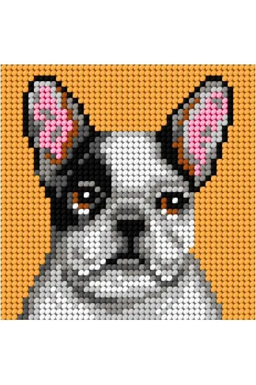Haft. Moje pierwsze wyszywanie - Buldog Anex-bis