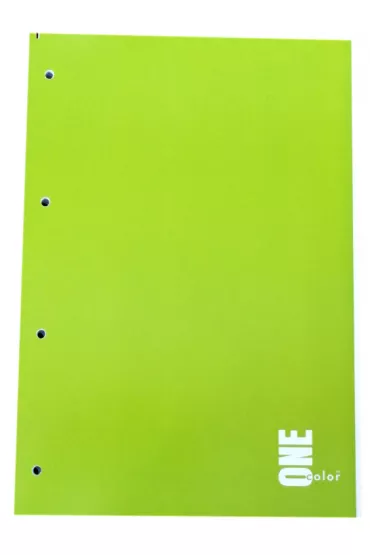 Interdruk Ko�ozeszyt A4 One Color kratka 100 kartek