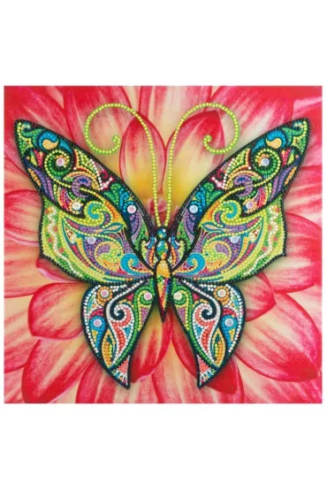 Grafix Diamentowe malowanie Motylek 30x30cm