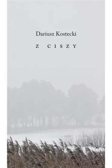 Z ciszy - Dariusz  Kostecki