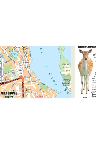 Mazury i Warmia map&guide XL PL laminat 2023
