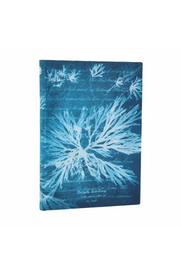 Anna Atkins` Cyanotypes Notatnik Sea Flowers midi linia