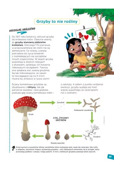 Nauka z komiksem Ro�liny i zwierz�ta. Genetyka i ewolucja. Tom 2 - Denise  Shimabukuro, Piero Genovesi, Silvia  Bencivelli