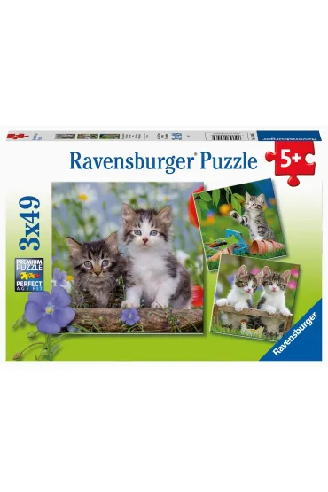 Puzzle 3x49 el. Koci�ta Ravensburger