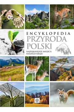Encyklopedia Przyroda Polski Najpikniejsze miejsca naszego kraju