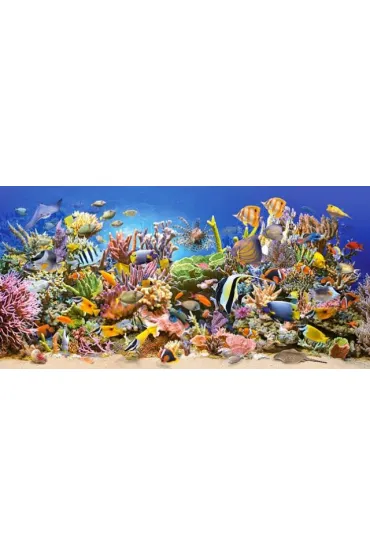 Puzzle 4000 el. Underwater Life Castorland