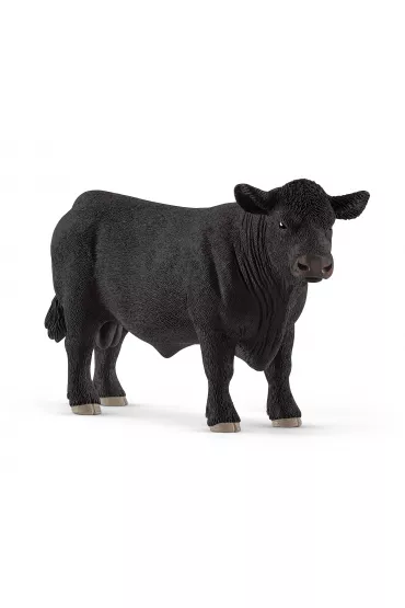Aberdeen Angus