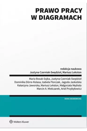 Prawo pracy w diagramach - Justyna Czerniak-Sw�dzio�, Mariusz Lekston