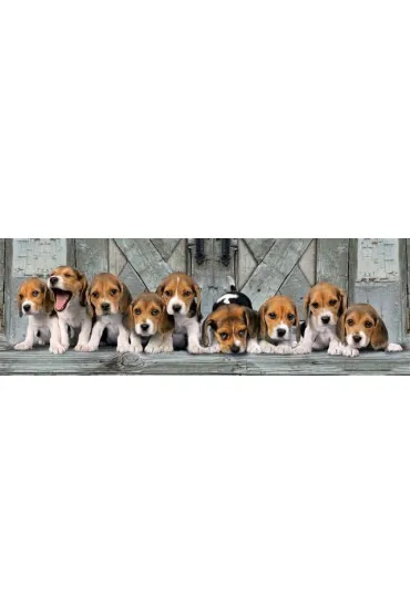 Puzzle 1000 el. Panorama HQ - Beagle Clementoni
