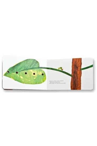 Bardzo g�odna g�sienica - Eric Carle