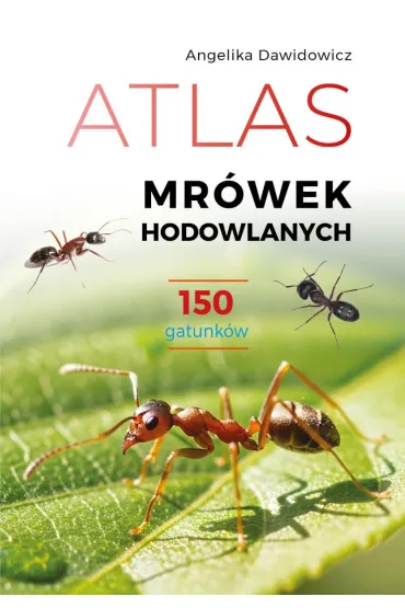 Atlas mr�wek hodowlanych. 150 gatunk�w - Angelika  Dawidowicz