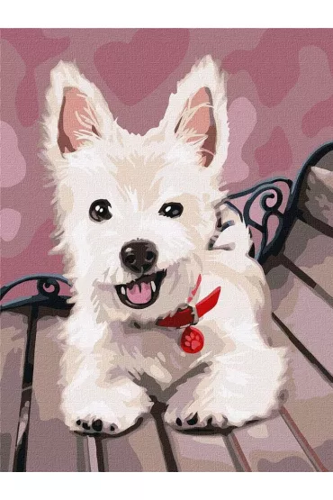 Ideyka Malowanie po numerach - Zabawny szczeniak 30x40cm