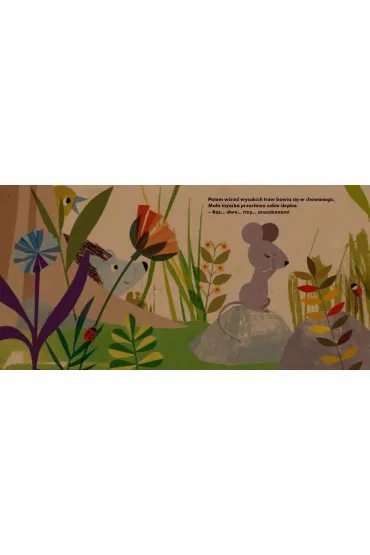 Moja ma�a myszka - Britta Teckentrup, Ma�gorzata  S�abicka