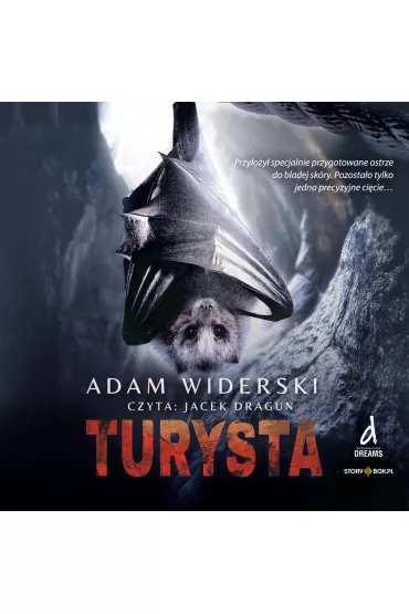 Audiobook CD mp3 turysta - Adam  Widerski