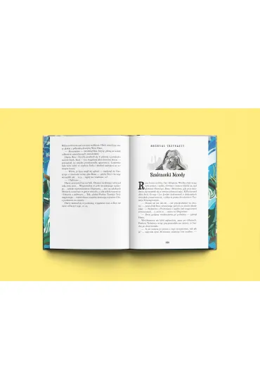 Harry Potter i Czara Ognia. Wydanie z barwionymi brzegami. - Joanne Kathleen Rowling