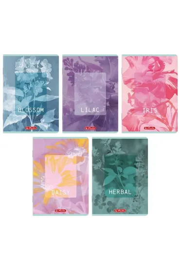 Zeszyt Herlitz Standard Blossom A5/60k linia z marginesem, 1 szt