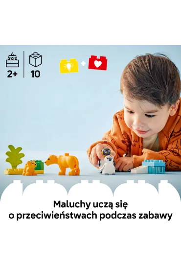 LEGO DUPLO Town Rodziny dzikich zwierz�t: pingwiny i lwy 10442