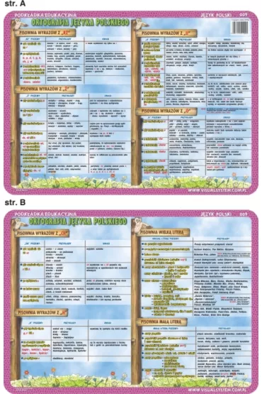 Visual System Podk�adka edukacyjna. Ortografia: ch, h, rz, �, �