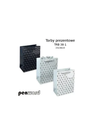 Polsirhurt Torba prezentowa TRB 38-1 23X18X10