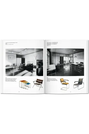 Bauhaus - Dafaux Marini, Magdalena Droste