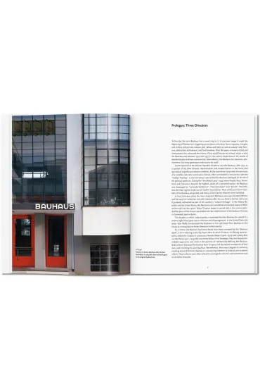 Bauhaus - Dafaux Marini, Magdalena Droste
