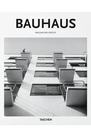 Bauhaus - Dafaux Marini, Magdalena Droste
