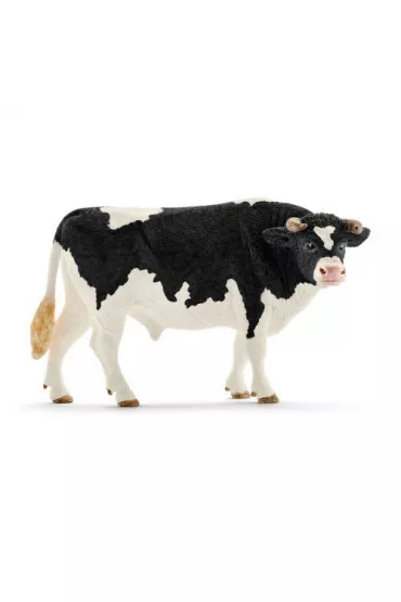 Byk rasy Holstein