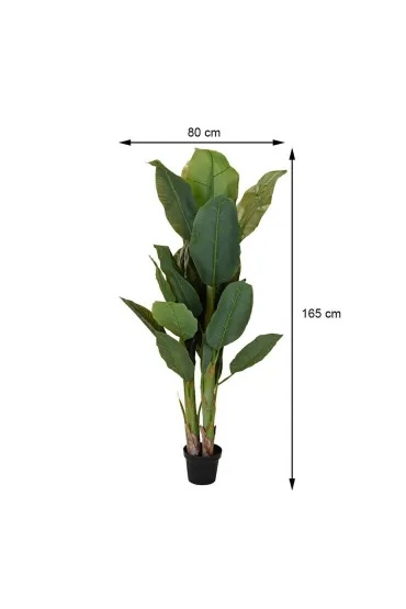 ProGarden Du�y bananowiec w donicy 165 cm