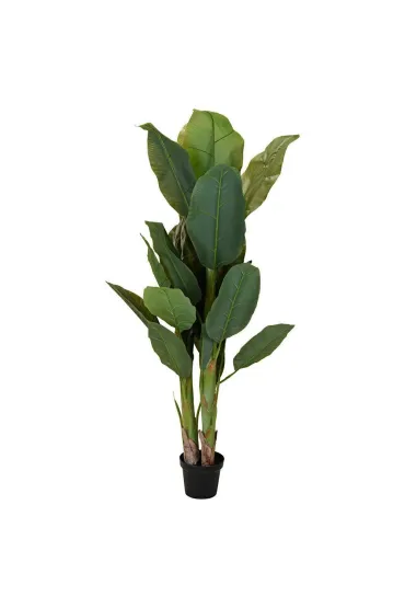 ProGarden Du�y bananowiec w donicy 165 cm
