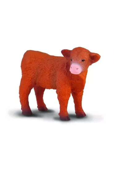 COLLECTA SZKOCKIE CIELE GORSKIE STOJACE ROZMIAR S BPZ-COLLEC