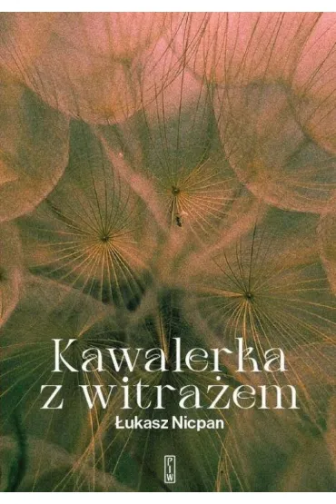 Kawalerka z witra�em - �ukasz Nicpan