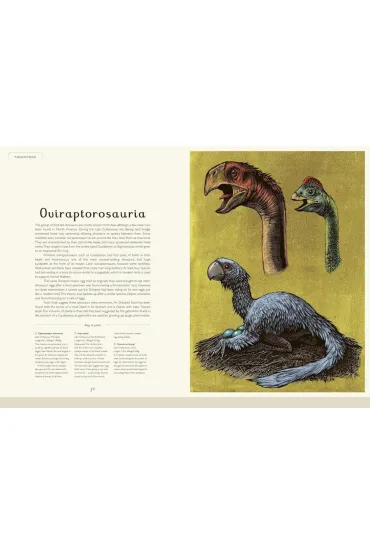 Dinosaurium - Lily Murray