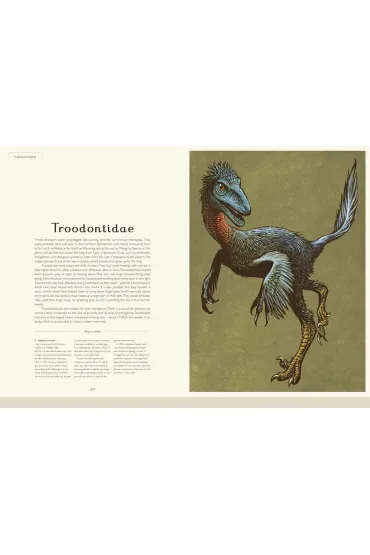 Dinosaurium - Lily Murray